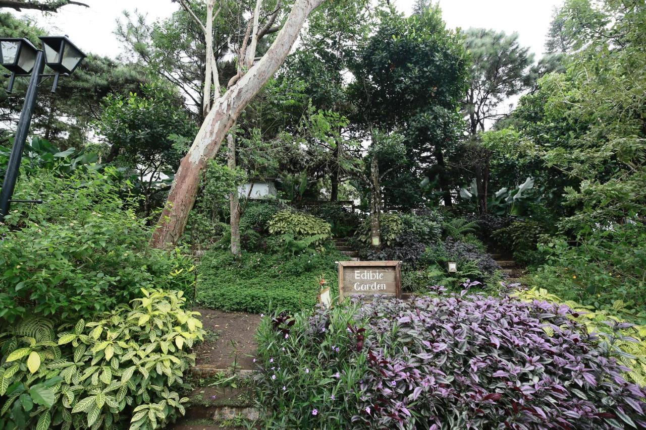 La Bella Boutique Hotel Tagaytay City Exterior foto